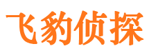 杨凌侦探公司